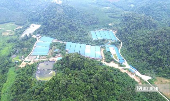 Trại chăn nuôi của Công ty Phát triển chăn nuôi Như Xuân.