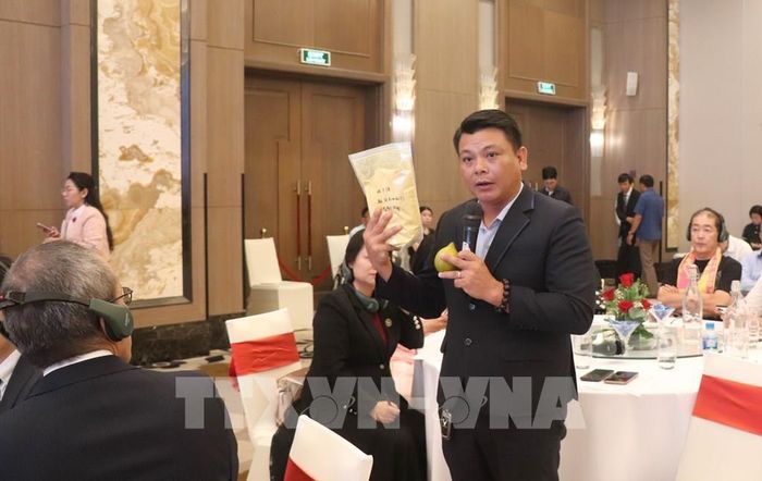 Trao đổi, kết nối doanh nghiệp Cần Thơ với đối tác Nhật Bản. Ảnh: Nguyễn Hằng - TTXVN