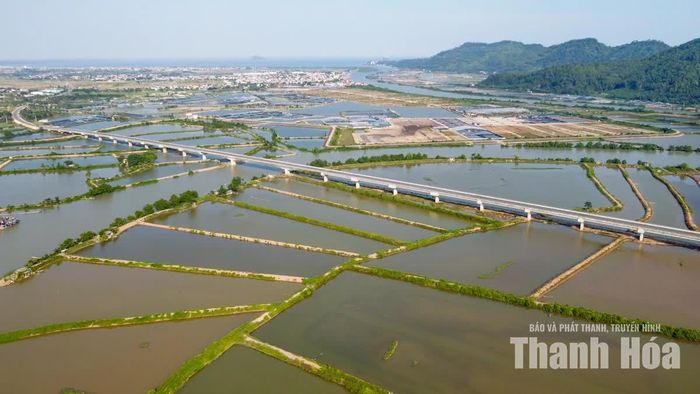 Cây cầu tạo nên một tuyến vượt dài xuyên qua vùng đồng bằng ven biển, trong đó phần vượt sông chỉ là một phần của tổng thể công trình. Đây cũng là điểm tạo nên nét đặc trưng của cầu Lạch Trường: một cây cầu vừa vượt sông, vừa vượt cạn với chiều dài lớn.