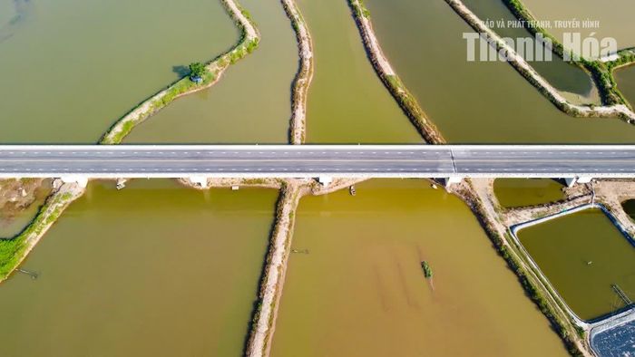 Với chiều dài 1.321 m, đây là cây cầu dài nhất trong 4 công trình cầu thuộc tuyến đường bộ ven biển đoạn Nga Sơn - Hoằng Hóa (cũ), gồm cầu Lạch Sung, cầu Nam Khê, cầu Mỹ Liên và cầu Lạch Trường.