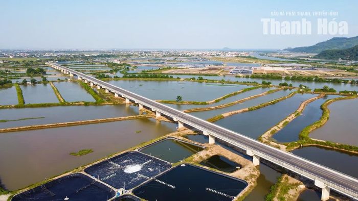 Theo thiết kế, cầu có tổng cộng 30 nhịp, sử dụng dầm Super T và kết cấu đúc hẫng.
