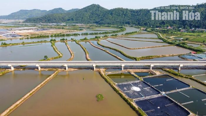 Phần lớn chiều dài cầu Lạch Trường còn vượt cạn trên khu vực cánh đồng nuôi trồng thủy hải sản của người dân. Để có mặt bằng triển khai công trình, chủ đầu tư và các nhà thầu đã thực hiện giải phóng, đền bù 10 đầm nuôi tôm, với tổng diện tích khoảng 3 ha.
