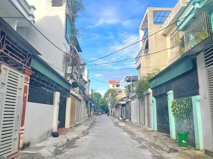 Những con ngõ nhỏ ở phường Hạc Thành trở nên rộng thoáng hơn khi cây cảnh trên vỉa hè được dọn dẹp.