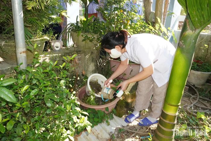 Những nơi có ổ nước đọng, dụng cụ chứa nước là môi trường thuận lợi cho muỗi truyền bệnh sinh sôi.