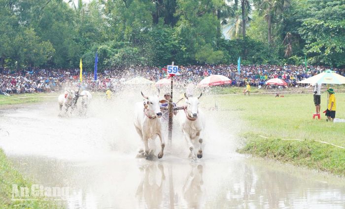 Màn "xé nước" về đích thần tốc đầy ấn tượng.