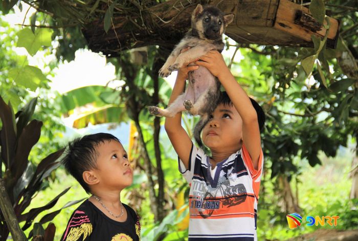 Thói quen gần gũi với động vật tiềm ẩn nguy cơ lây truyền bệnh dại từ động vật sang người. Ảnh: ALĂNG NGƯỚC