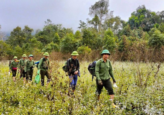 Cán bộ, viên chức Khu dự trữ thiên nhiên Mường Nhé tích cực tham gia tuần tra, bảo vệ diện tích rừng được giao quản lý.