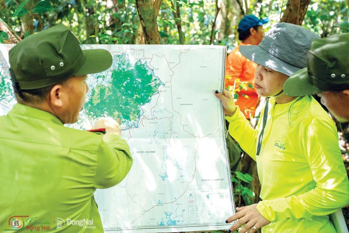 Kiểm lâm của Vườn quốc gia Cát Tiên và hướng dẫn viên của Oxalis Adventure tìm hiểu các tuyến đường trên bản đồ chuẩn bị cho hành trình khám phá cùng du khách.
