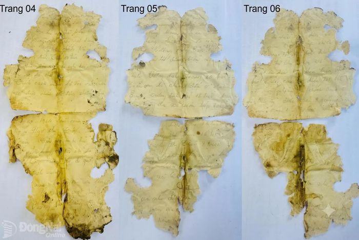 Lá đơn viết tay dài 6 trang xin vào Đảng của liệt sĩ được đơn vị cung cấp. Ảnh: ĐVCC