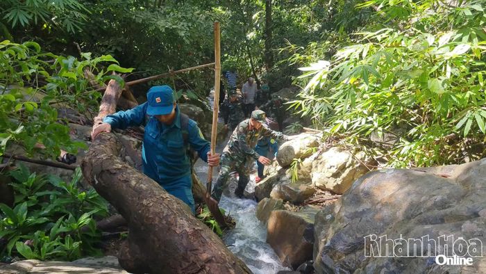 Dọc các con suối còn có vô số thân cây đổ ngã chắn ngang, việc vượt qua càng thêm khó khăn.