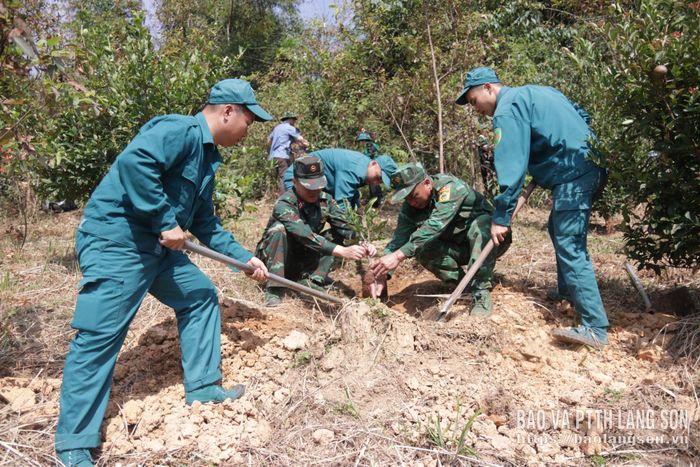 Các lực lượng hỗ trợ người dân xã Đồng Đăng trồng cây mắc ca