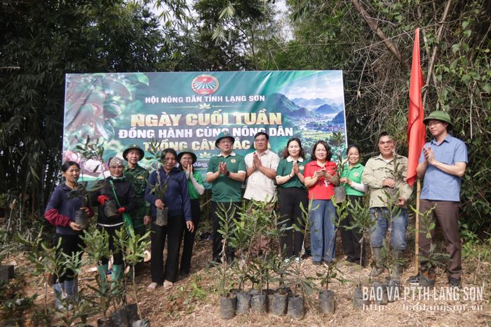 Hội Nông dân tỉnh cùng các đơn vị liên quan trao tặng cây mắc ca giống cho người dân