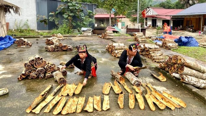 Hội nghị sẽ tập trung thảo luận giải pháp phát triển nông nghiệp hữu cơ, nông nghiệp tuần hoàn, phát thải thấp.