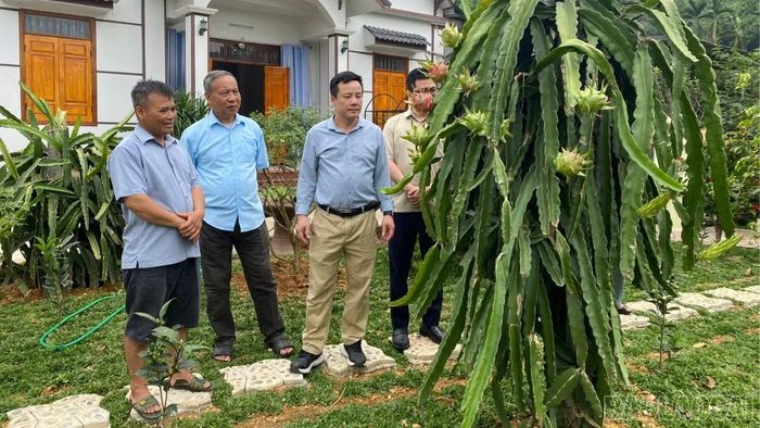 Tại hội nghị, các đại biểu sẽ trao đổi về chính sách hỗ trợ nông dân, hợp tác xã, doanh nghiệp tiếp cận vốn, khoa học - kỹ thuật và thị trường tiêu thụ.
