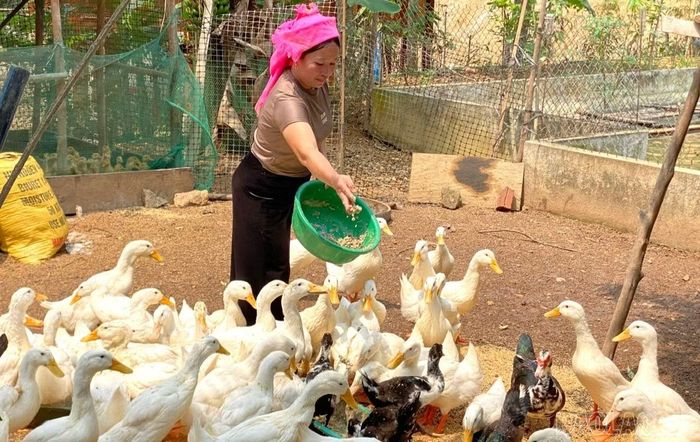 Các địa phương lựa chọn thành phần tham dự phù hợp, trong đó các xã, phường vùng đồng bào dân tộc thiểu số và miền núi quan tâm mời nông dân là người dân tộc thiểu số, người có uy tín.