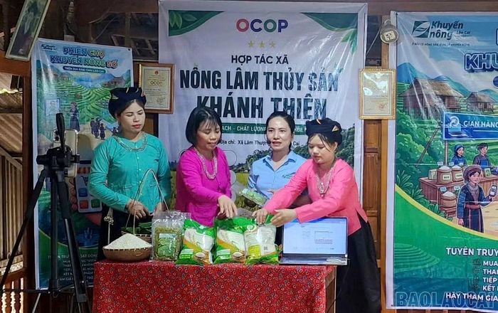 Hợp tác xã livestream bán hàng trên các nền tảng số.