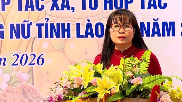 Đồng chí Đinh Minh Hà - Chủ tịch Hội Liên hiệp Phụ nữ tỉnh phát biểu tại hội nghị.