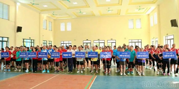  16 đội bóng tham dự giải. 