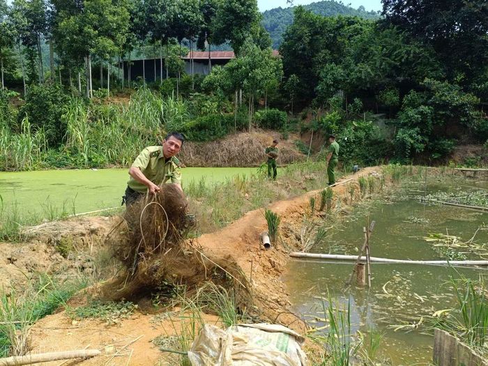 Lực lượng liên ngành kiểm tra khu vực phát hiện lưới bẫy chim tại thôn Nhò Trong, xã Xuân Quang sáng 10/10.