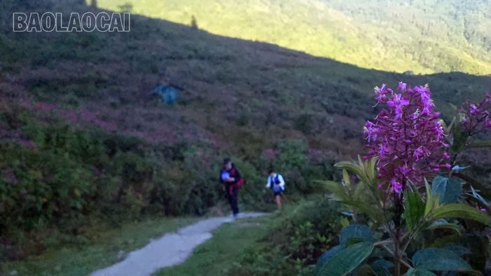 Mùa thu mang đến thời tiết lý tưởng: trời trong xanh, gió nhẹ, ánh nắng vàng dịu xuyên qua vạt núi, như tiếp thêm nguồn năng lượng cho các vận động viên trên suốt chặng đua.