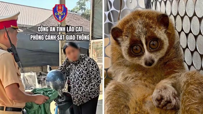 Tổ công tác đã lập biên bản vụ việc, thu giữ tang vật cùng các đồ vật, tài liệu liên quan để phục vụ công tác xác minh, điều tra.