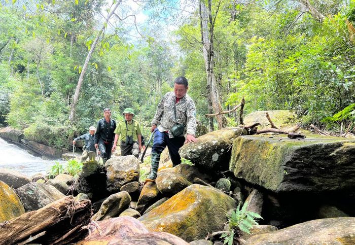 Tăng cường tuần tra bảo vệ rừng.