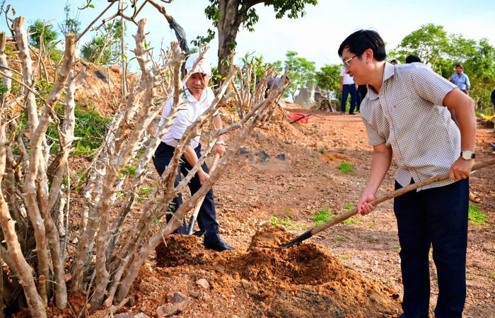 Phường Phú Thủy phối hợp trồng cây tại Công viên Đồi Bằng Lăng