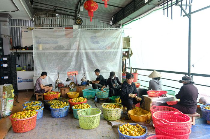 Người dân phường Xuân Trường - Đà Lạt làm hồng treo gió