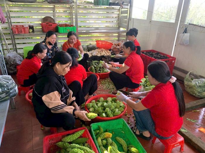 Nhiều tình nguyện viên chung tay nấu bữa ăn cho bệnh nhân