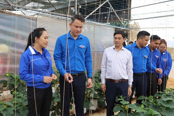 Anh Nguyễn Kim Quy (thứ 2 từ trái sang), Bí thư Ban Chấp hành Trung ương Đoàn, Chủ tịch Trung ương Hội LHTN Việt Nam thăm mô hình thanh niên ở xã Đơn Dương