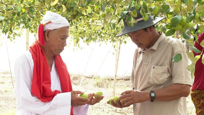 Sư cả Đoàn Minh Duyên trao đổi với người dân về kinh nghiệm trồng táo
