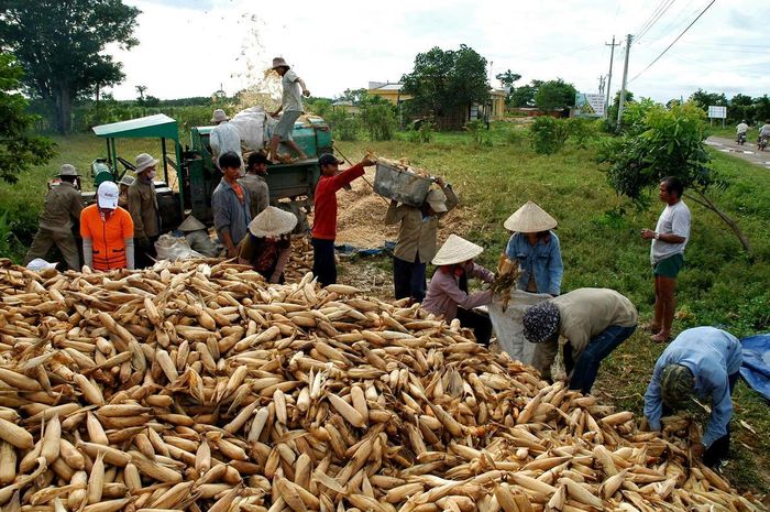 Đời sống của người dân vùng đồng bào dân tộc thiểu số ngày càng được nâng lên