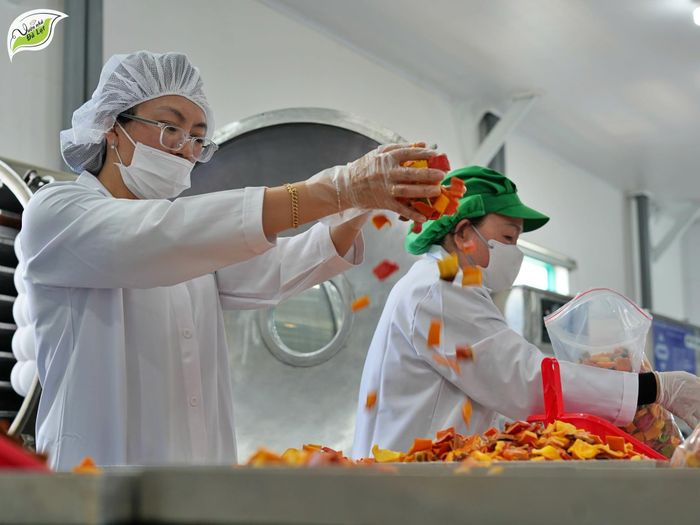Không ngừng đổi mới, áp dụng chuyển đổi số, Hợp tác xã Vườn nhà Đà Lạt đạt sản lượng tiêu thụ của đơn vị tăng khoảng 15 - 20%, doanh thu tăng 10 - 15% qua các năm