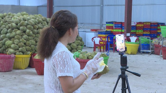 Từ những buổi livestream tại vựa sầu riêng, người dân và doanh nghiệp chủ động giới thiệu nguồn hàng, chất lượng sản phẩm và kết nối trực tiếp với thị trường. (Ảnh tư liệu)