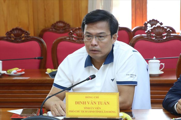 Tỉnh ủy viên, Phó Chủ tịch UBND tỉnh Đinh Văn Tuấn nêu ý kiến liên quan đến công tác khám sức khỏe toàn dân