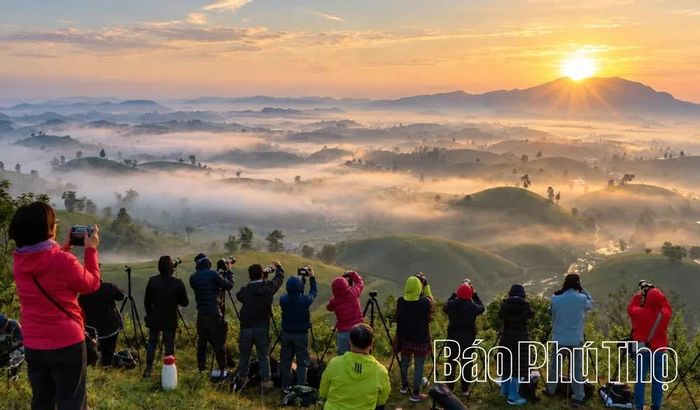 Không gian trong lành, cảnh sắc nên thơ, những đồi chè trập trùng ẩn hiện trong mây vào thời điểm đón bình minh, thu hút các nhiếp ảnh gia và du khách đến tìm kiếm những khoảnh khắc đẹp.