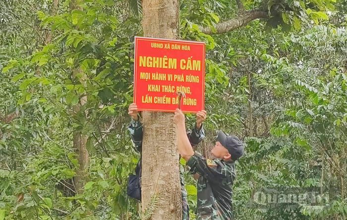 Công tác bảo vệ rừng được Ban Quản lý rừng phòng hộ sông Gianh triển khai thường xuyên - Ảnh: X.V