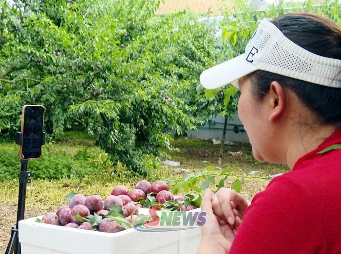 Người dân bản Yên Quỳnh ứng dụng công nghệ số quảng bá sản phẩm nông sản địa phương.