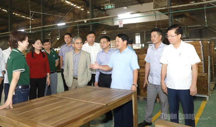 Đồng chí Bí thư Tỉnh ủy và đoàn công tác nắm tình hình sản xuất, kinh doanh của Công ty Cổ phần Woodsland Tuyên Quang.