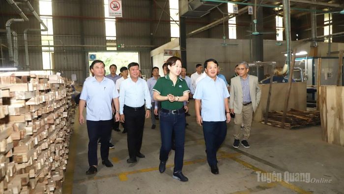 Đồng chí Bí thư Tỉnh ủy và Đoàn công tác thăm dây chuyền sản xuất của Công ty Cổ phần Woodsland Tuyên Quang.