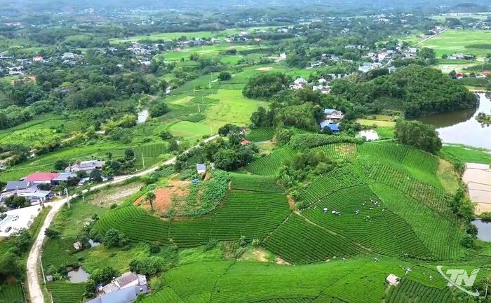 Phú Thịnh hôm nay đang đổi thay từng ngày, vùng đất giàu truyền thống lịch sử, gắn với những dấu mốc quan trọng trong quá trình chuẩn bị tiếp quản Thủ đô năm 1954.