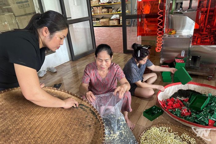 Các nghệ nhân ướp trà hoa nhài.