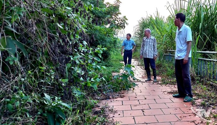 Do vướng mắc trong việc xác định đơn vị quản lý sau khi áp dụng mô hình chính quyền địa phương 2 cấp, công tác bảo vệ và duy tu công trình này đang gặp nhiều trở ngại.