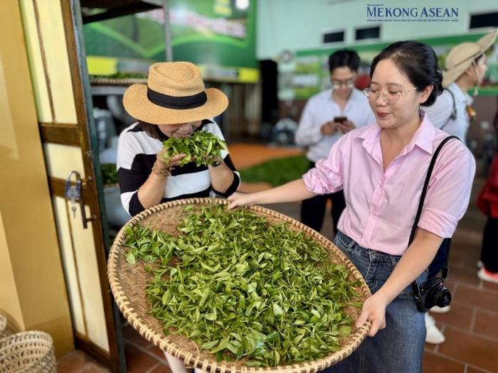 Ảnh: Hà Anh/Mekong ASEAN.
