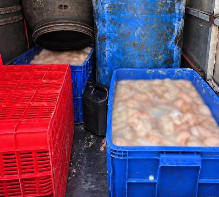 Phòng Cảnh sát giao thông Công an tỉnh Phú Thọ kiểm tra, phát hiện xe ô tô vận chuyển 820 kg lòng lợn bốc mùi hôi thối.
