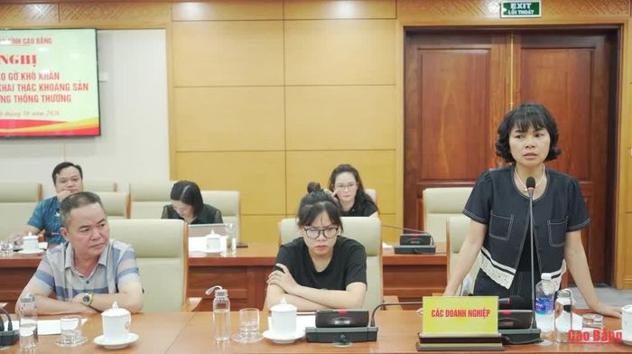Đại diện doanh nghiệp phát biểu ý kiến tại hội nghị.