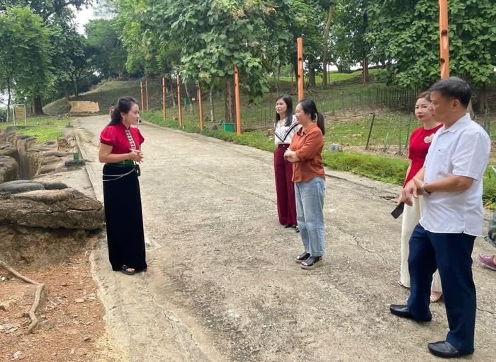 Đoàn đại biểu tỉnh nghe thuyết minh, tìm hiểu những dấu tích lịch sử tại di tích đồi A1.