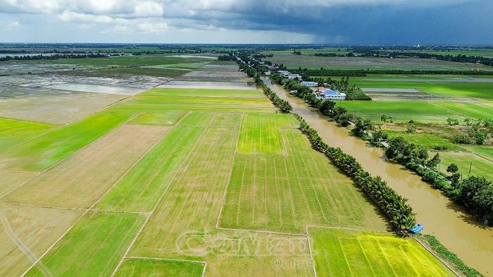 Nhờ chủ động triển khai các biện pháp ứng phó, xã Biển Bạch kiểm soát tốt mực nước nội đồng, chưa ghi nhận thiệt hại do ngập úng.