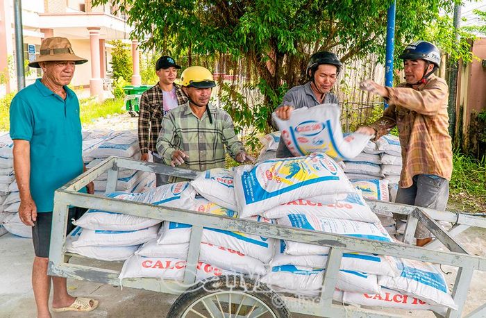 Xe chở lúa giống được đưa đến điểm tập kết để phân phát cho người dân.
