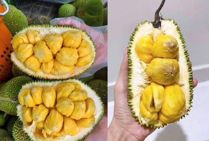 Mít tố nữ rặc khi chín có hình thức rất bắt mắt - Ảnh minh hoạ